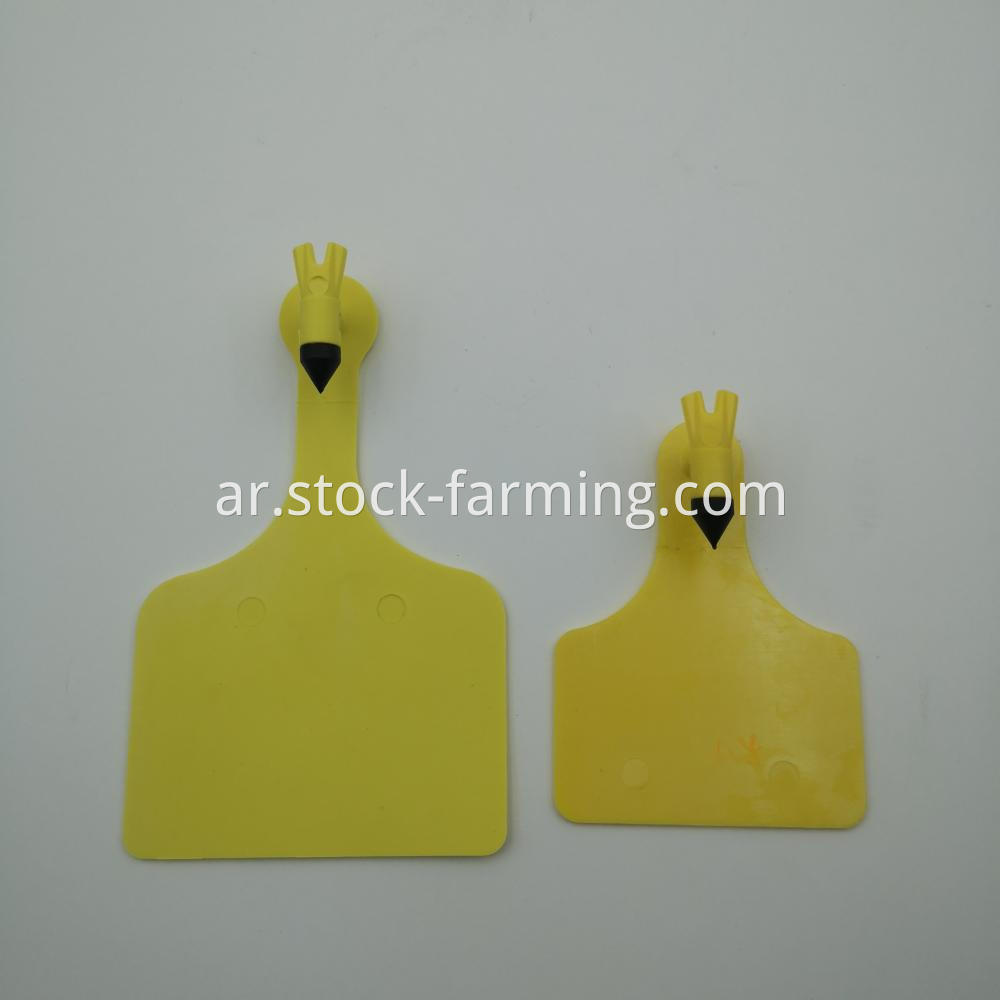 Ear Tag Cattle